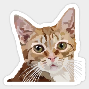 Orange Tabby Sticker